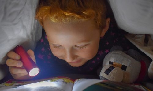 reading, bed, flashlight-5069826.jpg